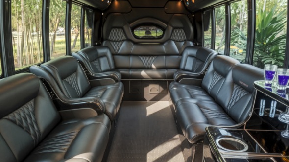 waukegan sprinter limo rental inside