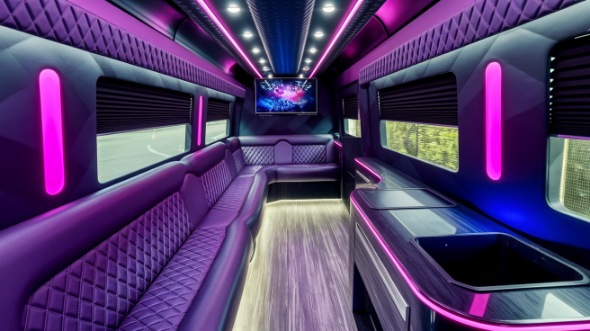 waukegan sprinter limo rental rental